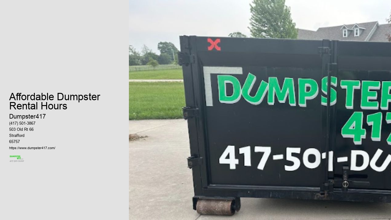 Mini Dumpster Rental