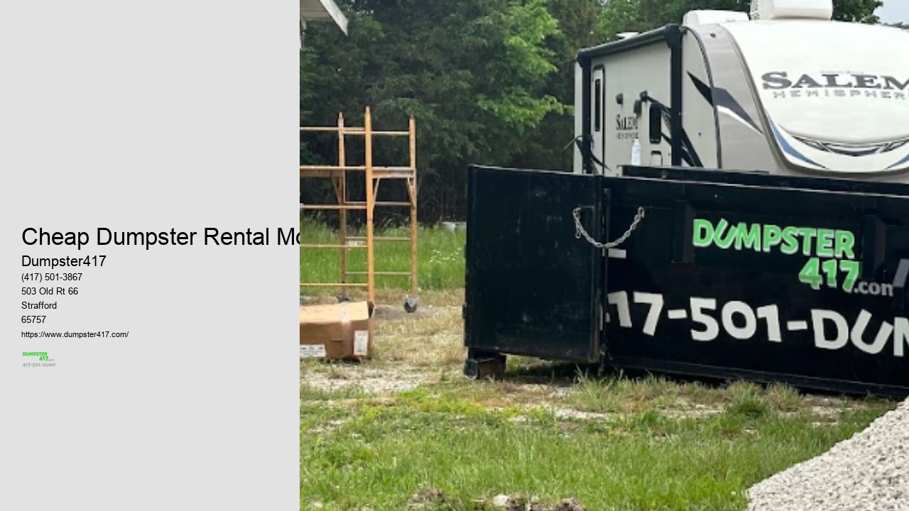 Tiny Dumpster Rental